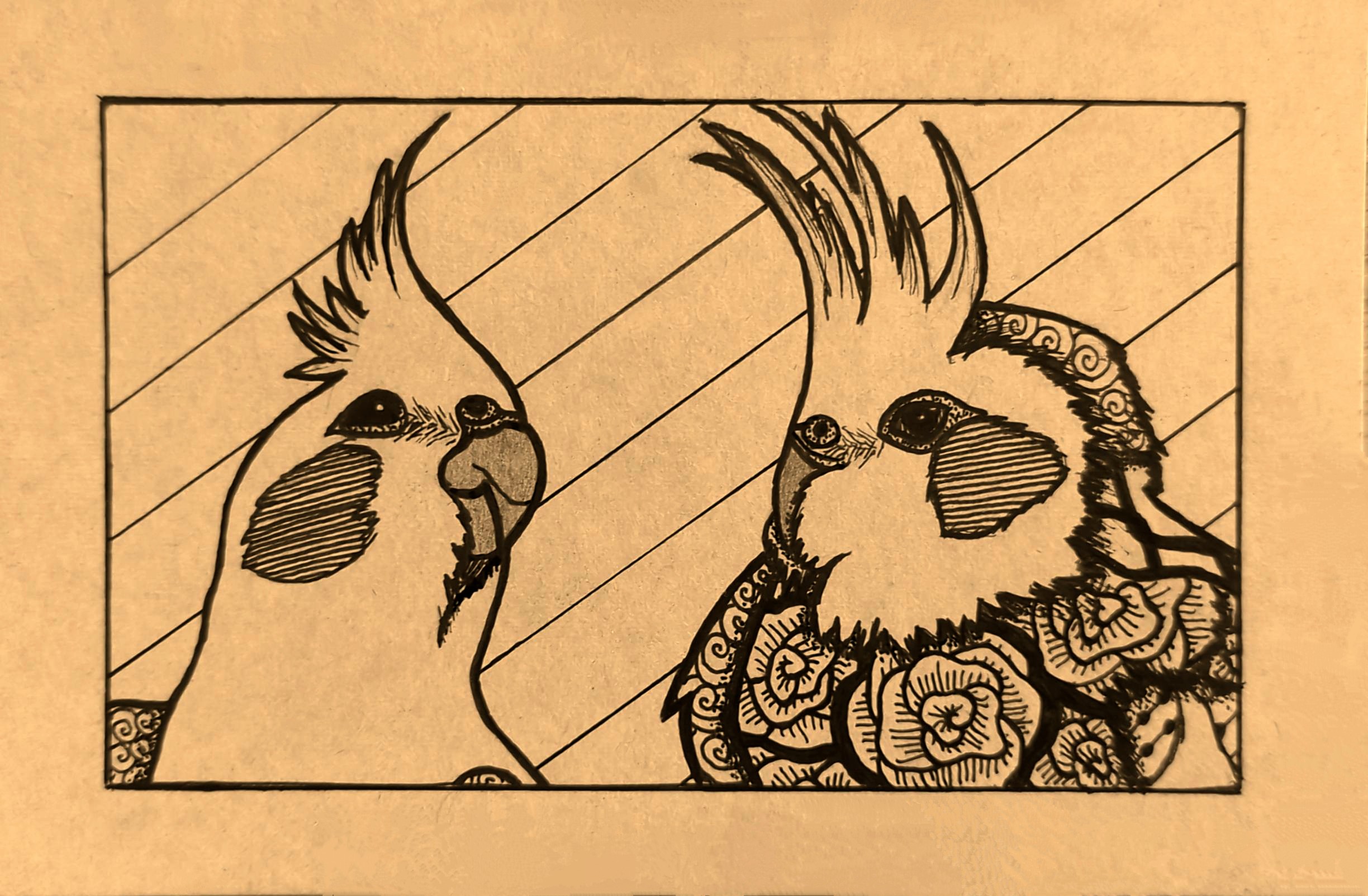 Drawing of two cockatiels.